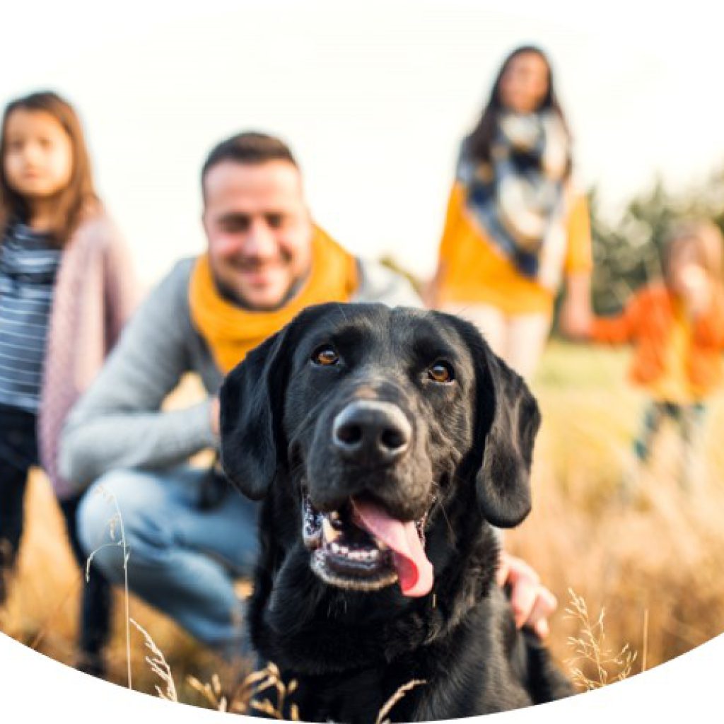 PETERS bei uns sind Hunde willkommen