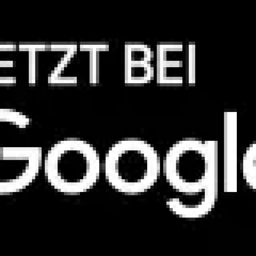 Google - Playstore Logo