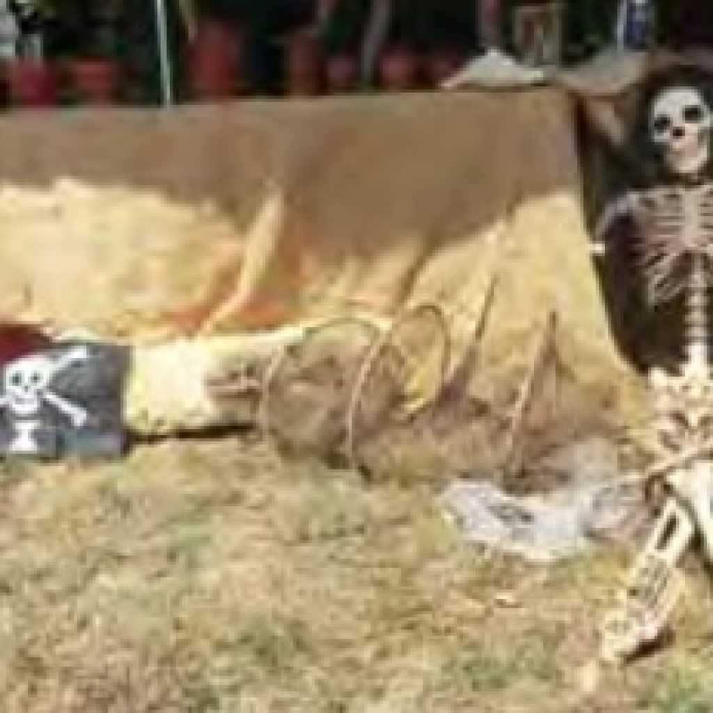 PETERS Hotel Firmenevent Pirate Games