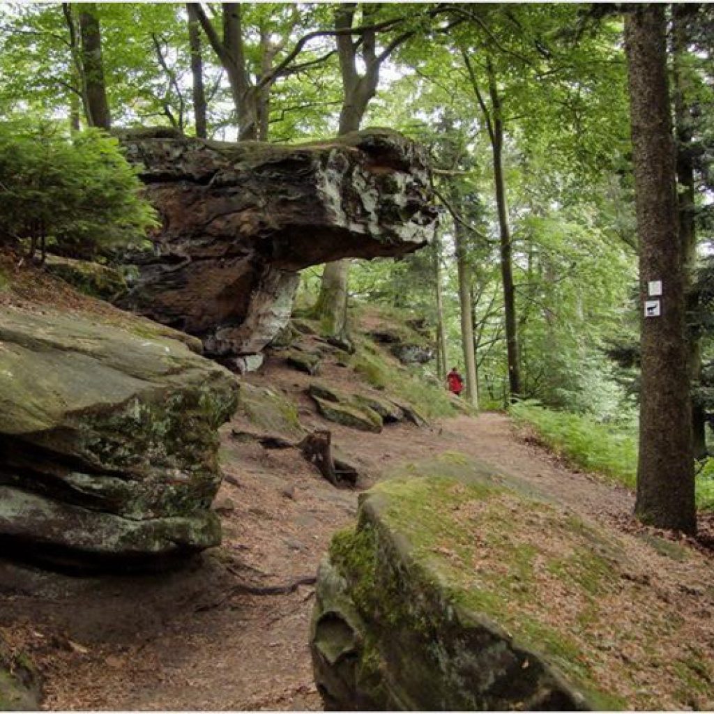 Wanderweg: Kirkeler Tafeltour (ca. 9 km) 1 PETERS Hotel Wanderung Kirkeler Tafeltour