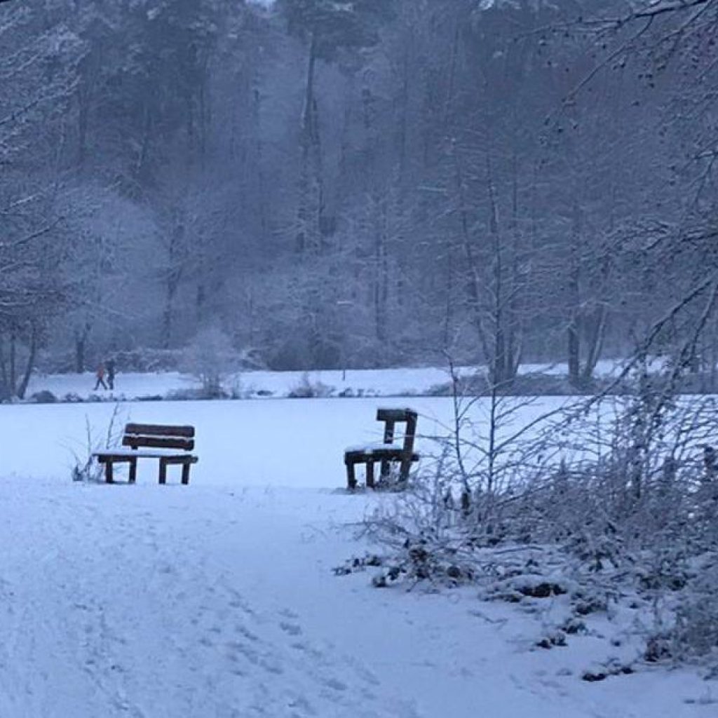 Der Wintertraum am See 14 Verschneiter Park mit Bänken vor einem zugefrorenen See. Kahle Bäume säumen das Gelände, und im Schnee sind Fußabdrücke zu sehen. Im Hintergrund geht eine Person in der Nähe des Sees spazieren, umgeben von einem winterlichen Wald.