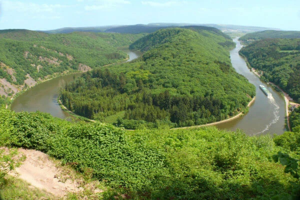 Luftaufnahme der Saarschleife, die sich durch üppige grüne Hügel und dichte Wälder schlängelt. Grüne Bäume gedeihen unter einem klaren blauen Himmel, und rechts auf dem Fluss ist ein Boot zu sehen, das die ruhige Landschaft unterstreicht.