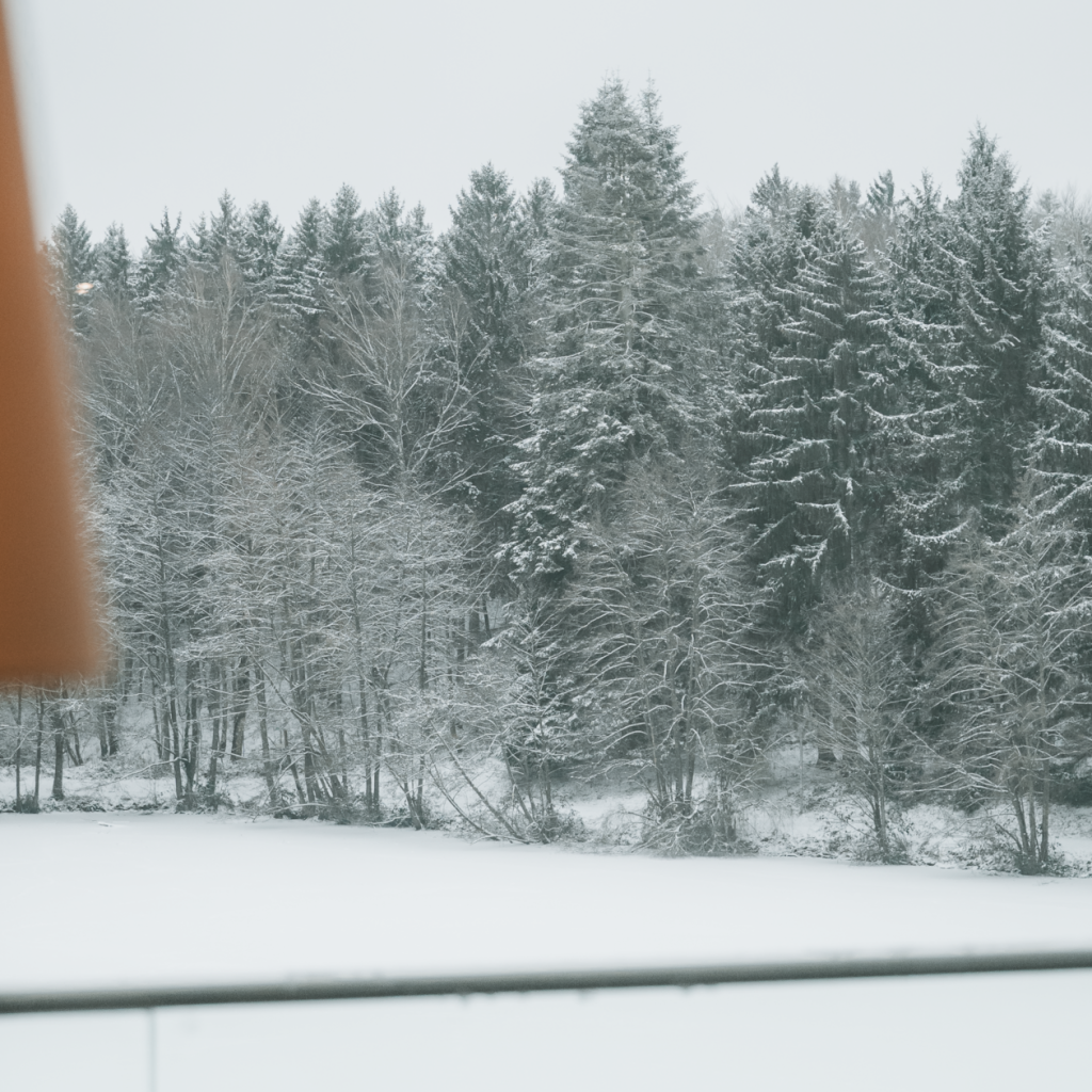 Detox im Januar: Körper, Geist und Seele nach den Festtagen regenerieren 5 Durch ein Fenster sieht man eine verschneite Landschaft mit hohen immergrünen Bäumen. Im Vordergrund sind ein Teil eines Balkongeländers und eine warmtonige Lampe im Inneren des Zimmers zu sehen. Der Boden und die Bäume sind mit Schnee bedeckt.